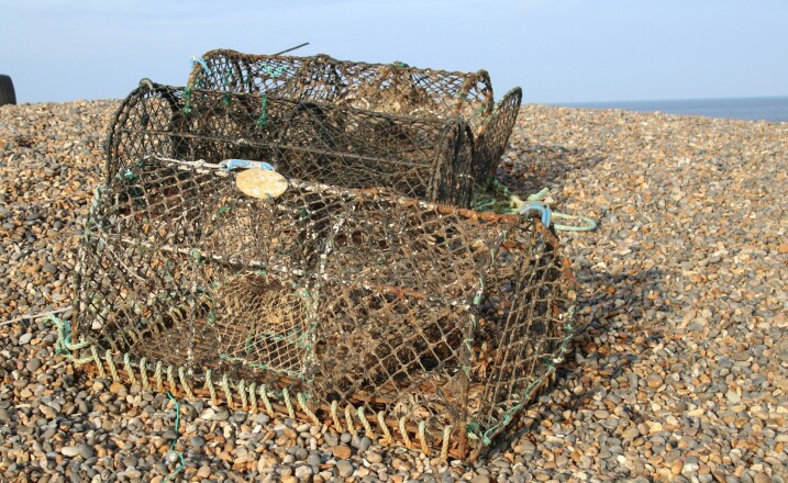 North Norfolk Coastal Path